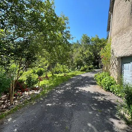 Parenthese En Foret - Baliveau, Sidobre * Le Bez