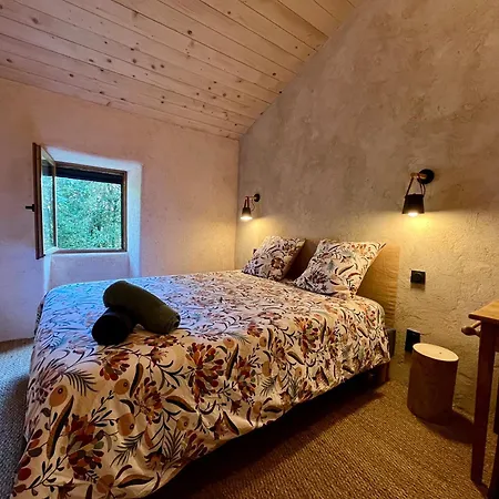 別荘 Parenthese En Foret - Baliveau, Sidobre