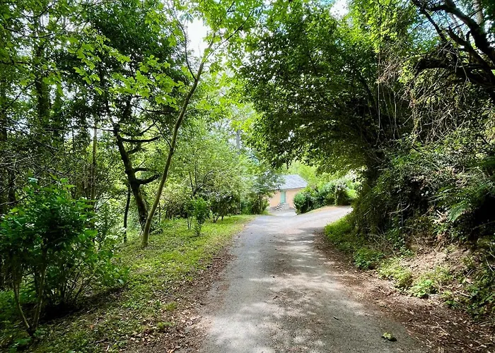 Parenthese En Foret - Baliveau, Sidobre Le Bez