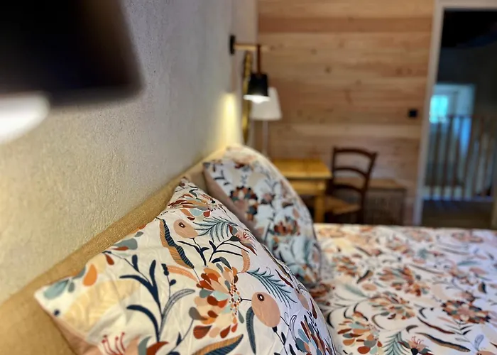 Parenthese En Foret - Baliveau, Sidobre * Le Bez