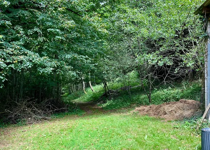 Parenthese En Foret - Baliveau, Sidobre Le Bez