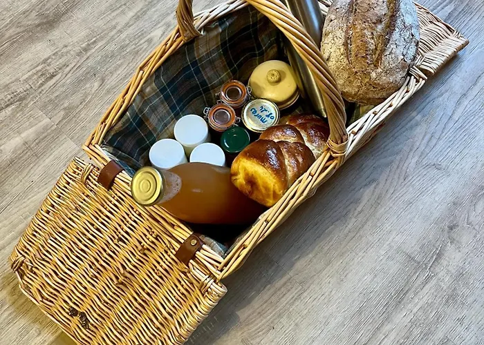 Parenthese En Foret - Baliveau, Sidobre Le Bez