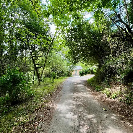 Parenthese En Foret - Baliveau, Sidobre Le Bez (Tarn)