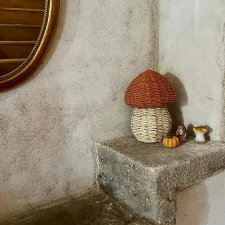 Parenthese En Foret - Baliveau, Sidobre * Le Bez (Tarn)